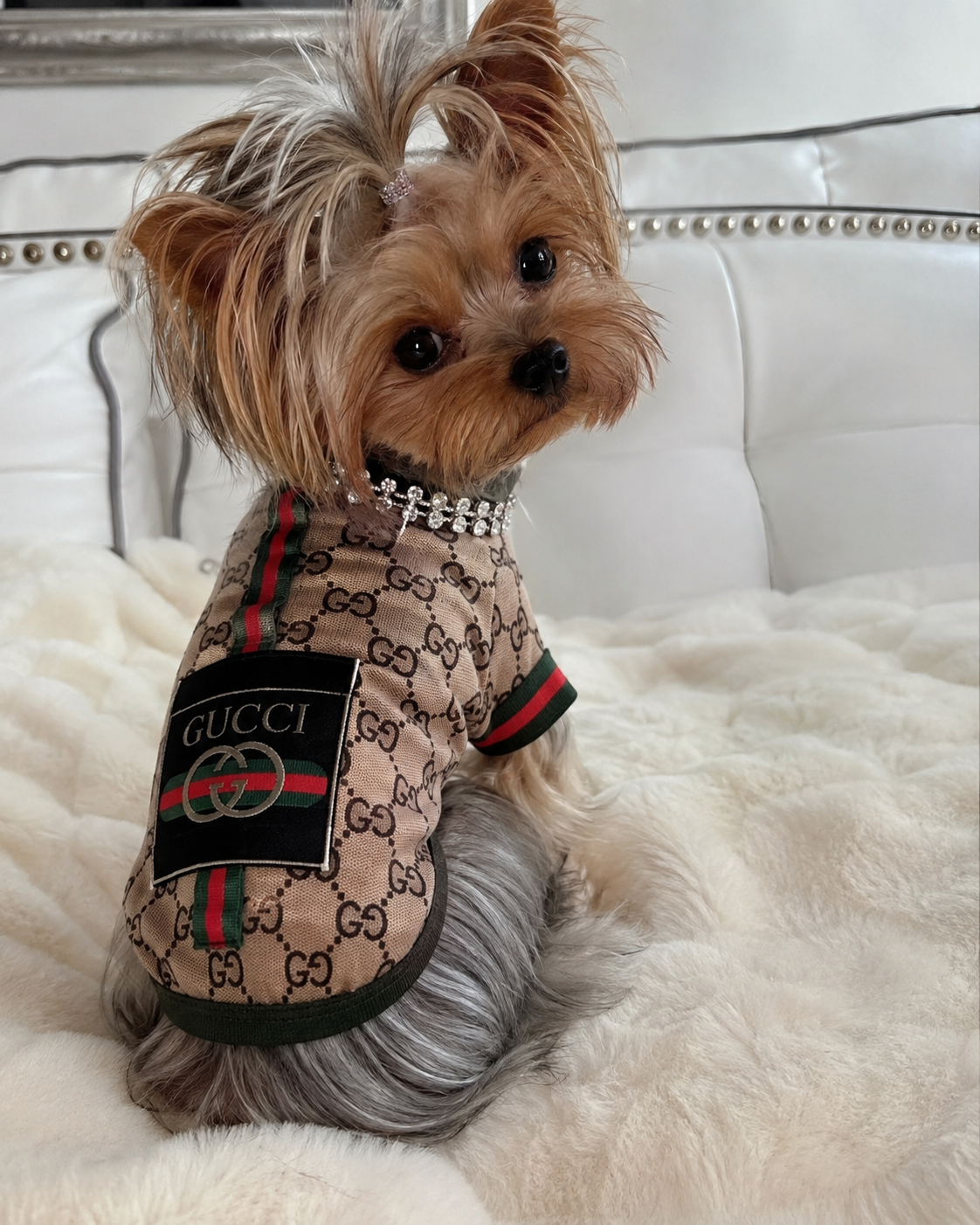 Gucci T-shirt
