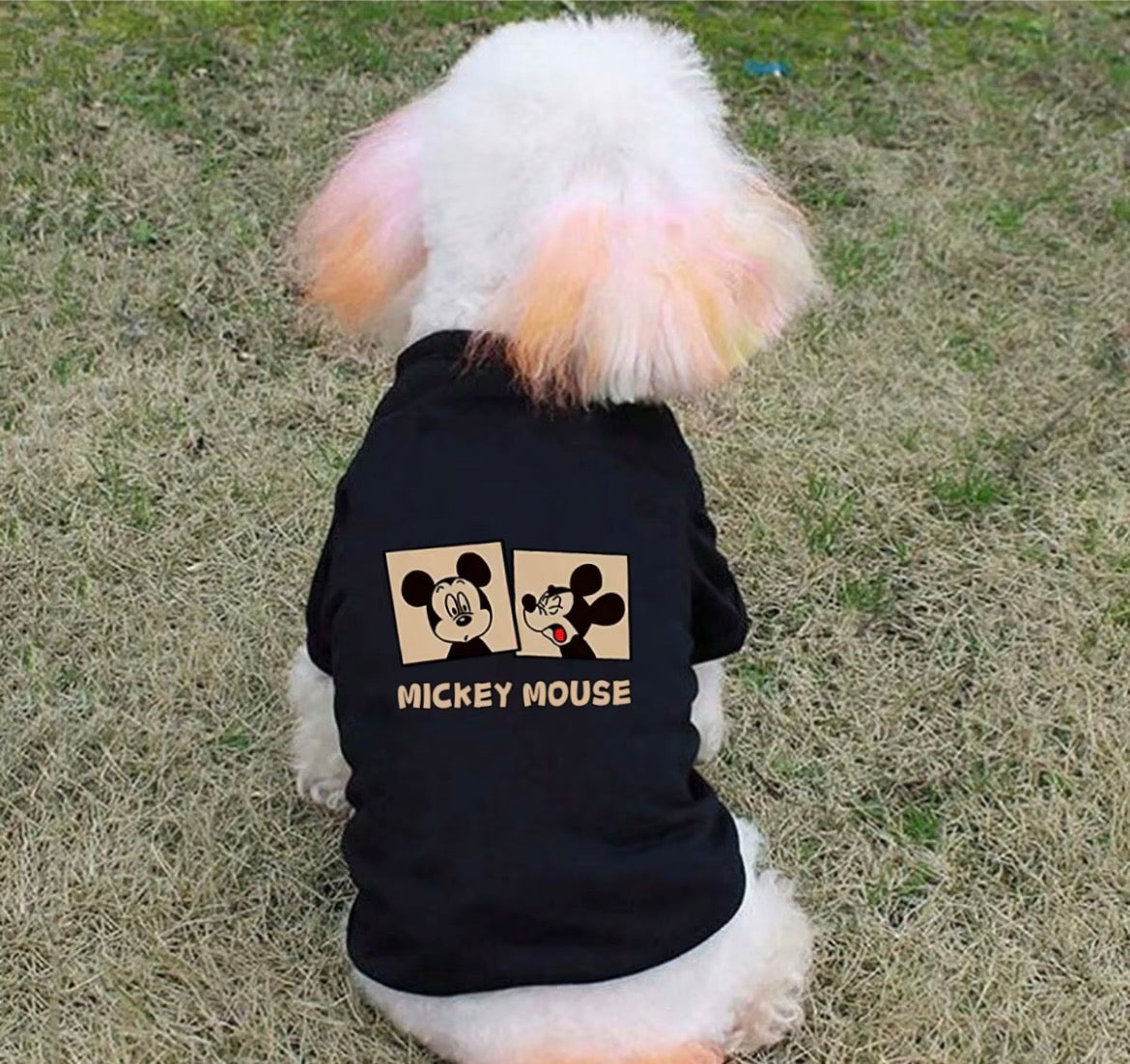 Mickey Mouse T-shirts